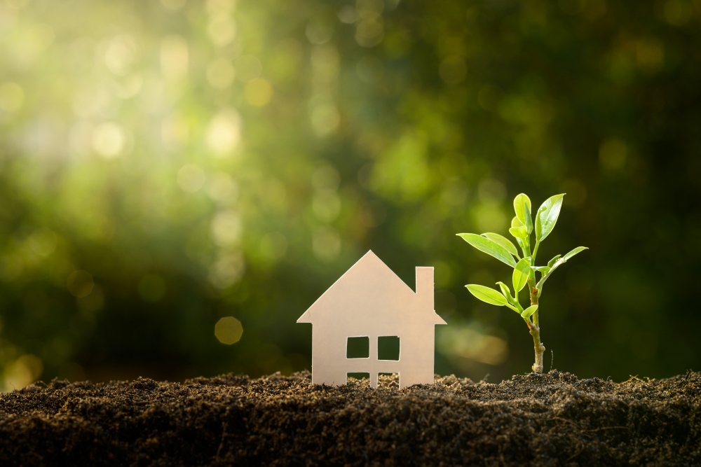 Nachhaltiges Bauen im Fokus – Infoanlass in Frutigen am 11. März 2025
