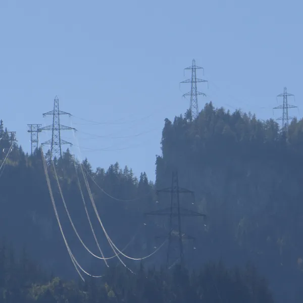 Energieholzpotenzial für Winterstromlücke