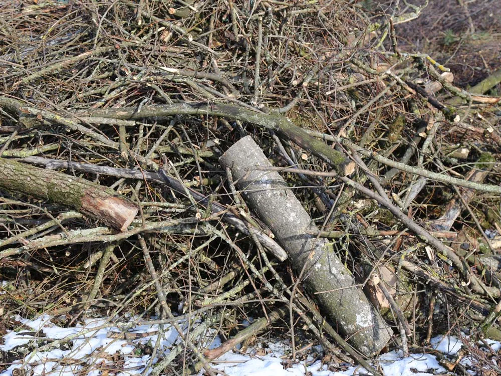 Ungenutztes Landschaftsholz