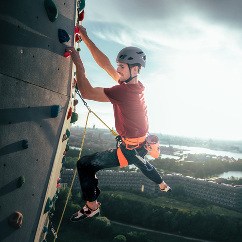 Mammut leistet Klimabeitrag