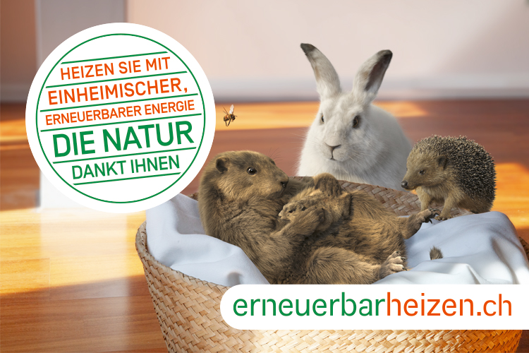 Impulsberatung Oekowatt