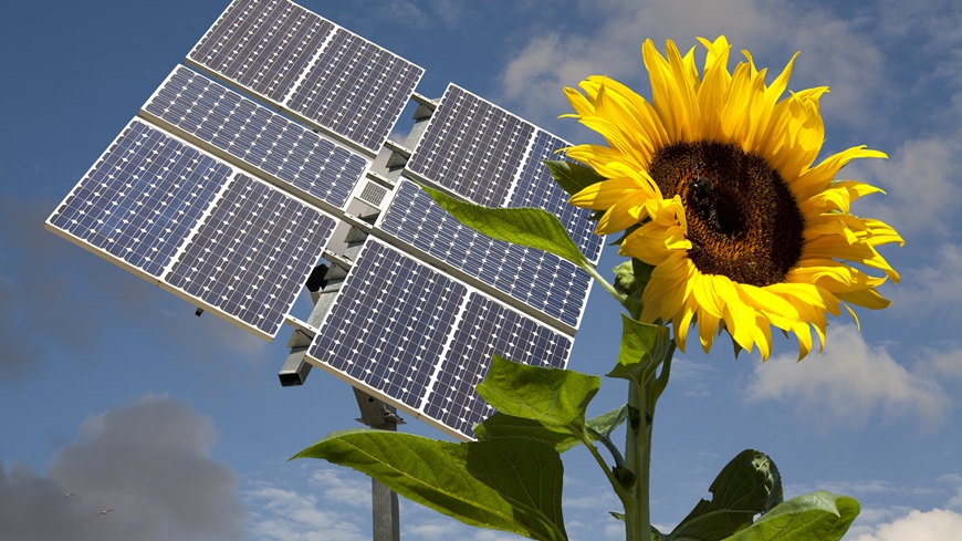 Solarsprechstunde – ein offenes Onlineformat