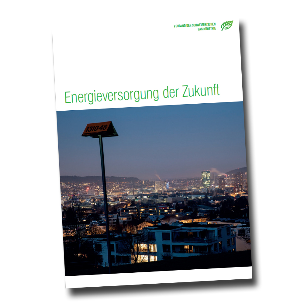 Energieversorgung der Zukunft – mit oder ohne Gas?