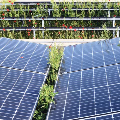Analyse des PV-Booms