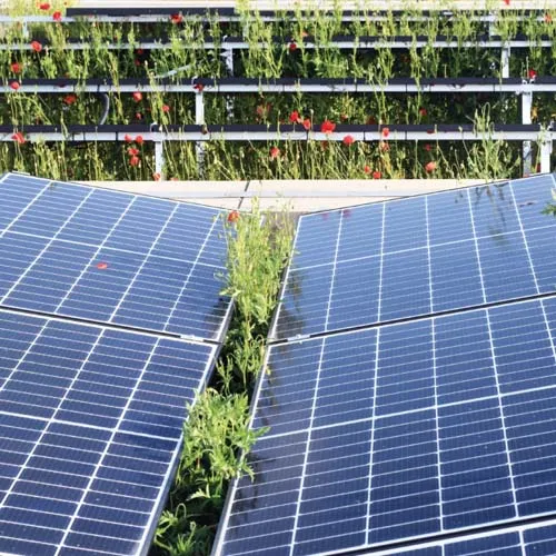 Analyse des PV-Booms